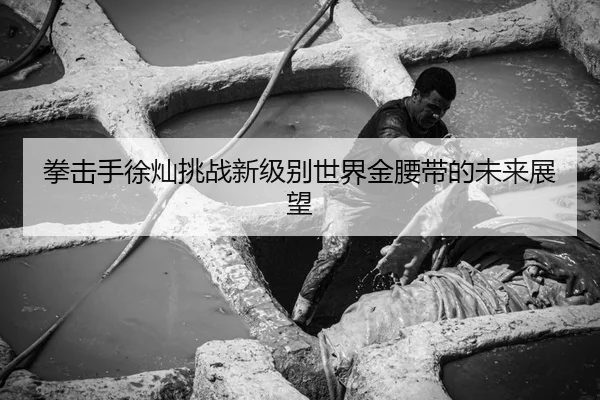 拳击手徐灿挑战新级别世界金腰带的未来展望